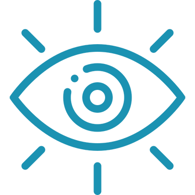 icon_vision